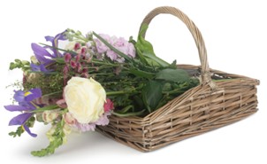 Small Slope-Sided Antique Wash Trug