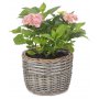 Medium Round Antique Wash Planter