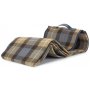 Luxury Ravenstor Picnic Blanket