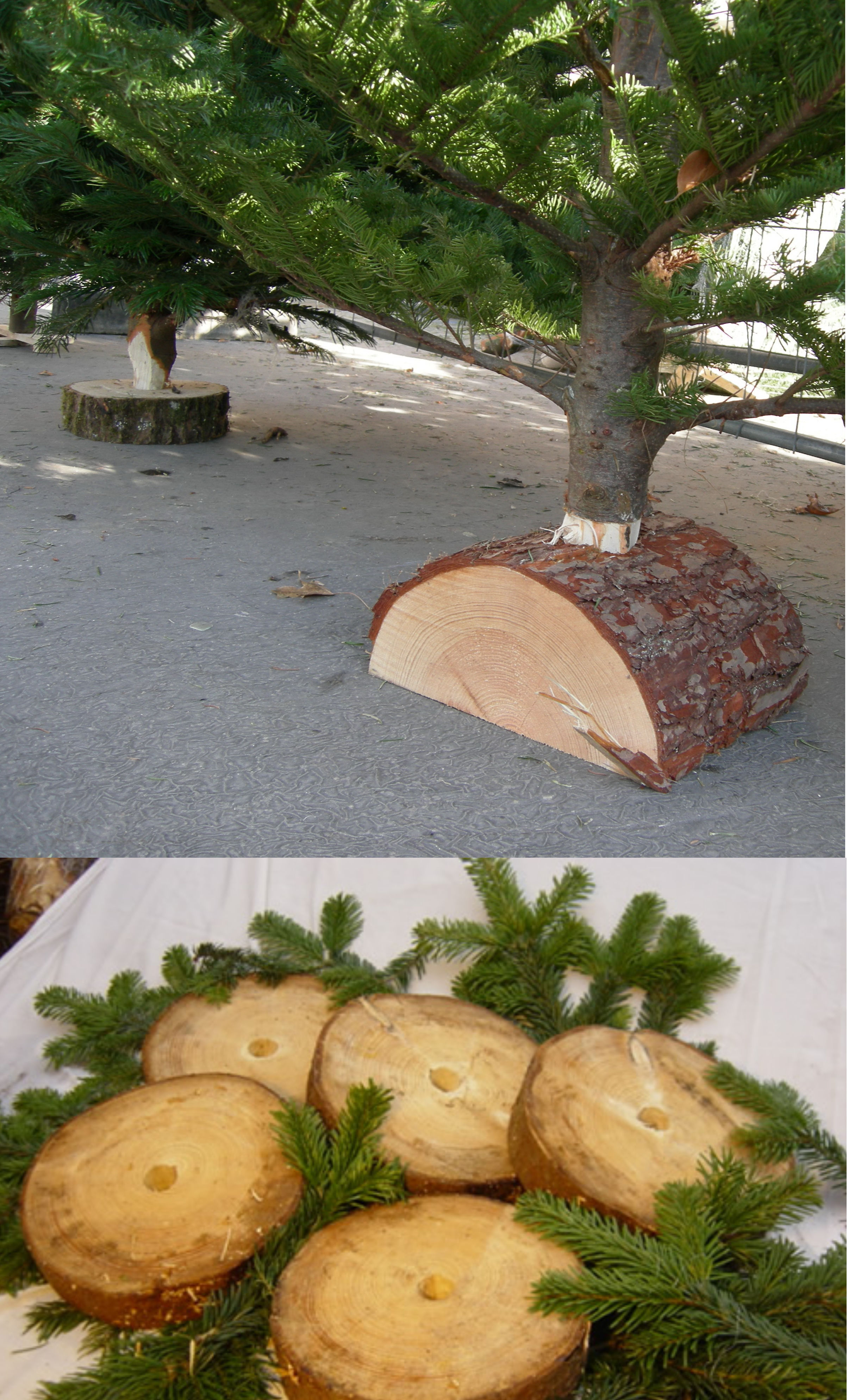 Christmas Tree Bases for Firewood